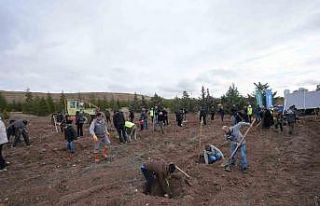 TUSAŞ şehitleri anısına binlerce fidan toprakla...