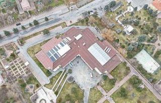 Ulu çınarların yuvası yenileniyor