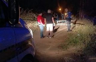 Üniversite öğrencisi Teslime’nin ölümüne ilişkin...