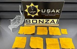 Uşak’ta çok sayıda uyuşturucu madde ele geçirildi