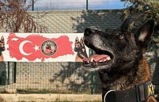 Uyuşturucu tacirlerinin ‘Bulamazlar’ dedikleri...