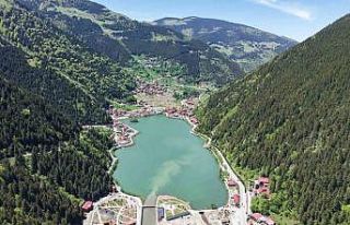 Uzungöl için acı gerçeği açıkladı