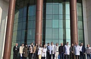 Van ile Nahçıvan arasında yeni sağlık köprüsü