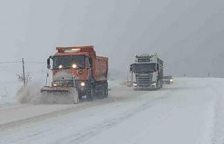 Van’da 266 yerleşim yerinin yolu kapalı