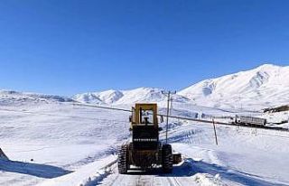 Van’da 35 ulaşım yolu kapalı