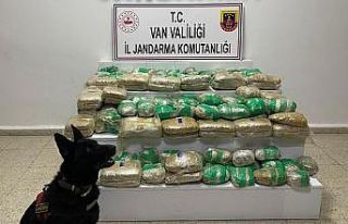 Van’da 51 kilo skunk ele geçirildi