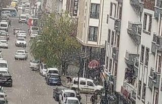 Van’da dolu yağışı şehri beyaza bürüdü