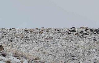 Van’da kış yüzünü gösterdi: Erek Dağı ve...