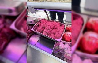 Yalova’da mevzuata aykırı satışı yapılan işletmeye...