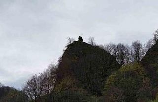 Yamaçtaki ilginç kaya dikkat çekiyor