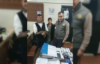 Yaralı şahin tedavi altına alındı