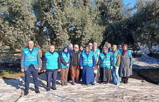 Yatağan’da zeytin hasadı ve bereket duası yapıldı