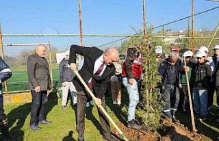 Yeşil Düzce’de fidanlar toprakla buluştu