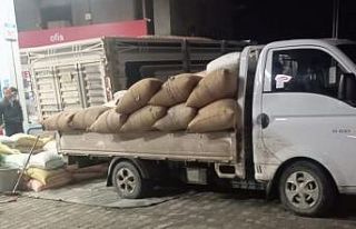 Yılbaşına günler kala fındık fiyatları yükselişe...