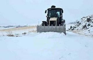 Yüksek rakımlı Aydınlar beldesinde kar esareti...