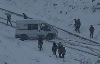Yüksekova yoğun kara teslim oldu
