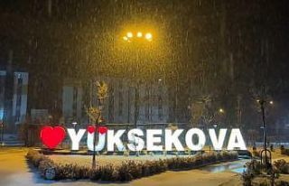 Yüksekova’da lapa lapa kar yağışı