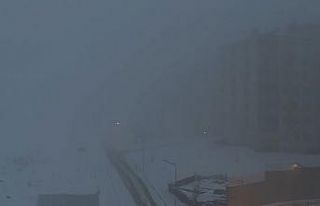 Yüksekova’da yoğun sis hayatı felç etti