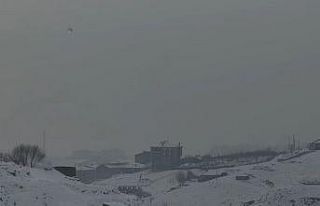 Yüksekova’da yoğun sis uçak seferlerini durdurdu