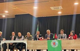 Zeytin üreticileri için destek ve markalaşma önerisi