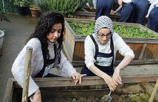 Zeytinburnu’nda ergoterapi öğrencileri engeli...