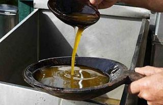 Zeytinyağında dededen kalma "taş baskı"...