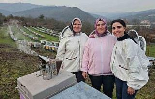 Zonguldak’ta anne ve kızları arıcılık mesleğiyle...