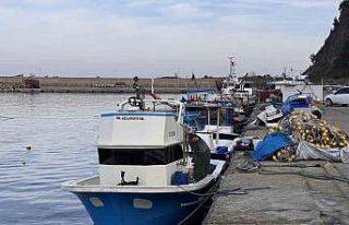 Zonguldak’ta hamsi yoğunluğu yaşandı, palamut...