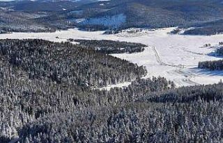 14 köyün yaylasının bir arada bulunduğu Sarıalan’da...