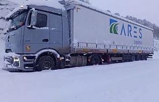 20 tır Posof Ilgar dağında mahsur kaldı