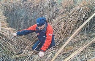 379 kişi iz takip ve kadavra köpeğiyle kayıp kadını...