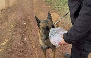 7. gün Kapıdağ’da umut nöbeti sürüyor