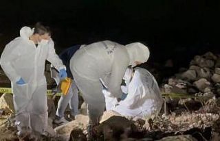 8 gün sonra gölette bulundu: Elif Kumal’ın ölüm...