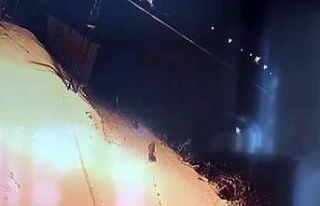 Aç kalan kurt sürüsü şehir merkezine indi