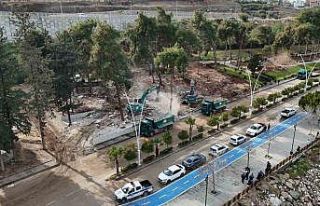 Adana’da kaçak işletmeler yıkılıyor