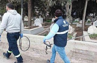 Adana’da sokak köpeği endişesi