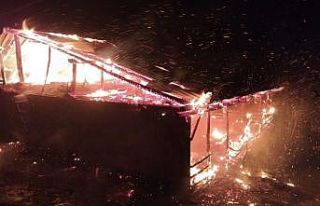 Adana’da yangın: Ev ve ahır küle döndü