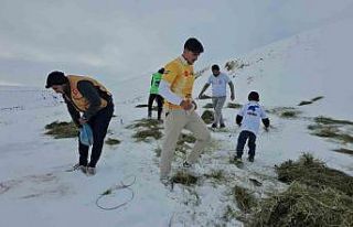 Adilcevaz’da yaban hayvanları unutulmadı: Aktivistlerden...