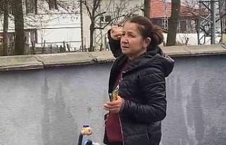 Ağaçta mahsur kalan kedi bir haftadır kurtarılmayı...