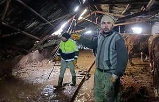 Ahırın çatısı yağan karın ağırlığını...