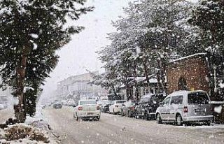 Ahlat’ta yoğun kar yağışı