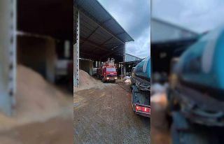 Alanya’da palet atölyesinde yangın büyümeden...