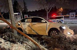 Alkollü sürücü önce ağacı devirdi ardından...