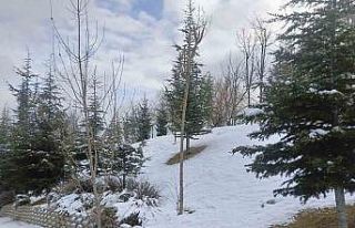 Ankara’da kar yağışı etkili oldu