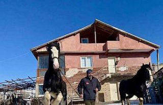 Ankara’da sıra dışı yaşam: Onlarca hayvanla...