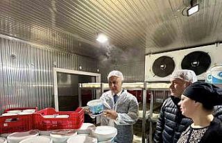 Antakya’da süt ürünleri üreten firma incelendi