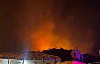 Antalya’da orman yangını