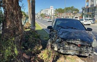 Antalya’da otomobil refüjdeki ağaca çarptı:...