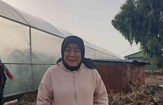 Antalya’da selden etkilenen ilçede hasar tespit...