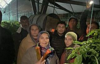 Antalya’da üretici don nöbetinde